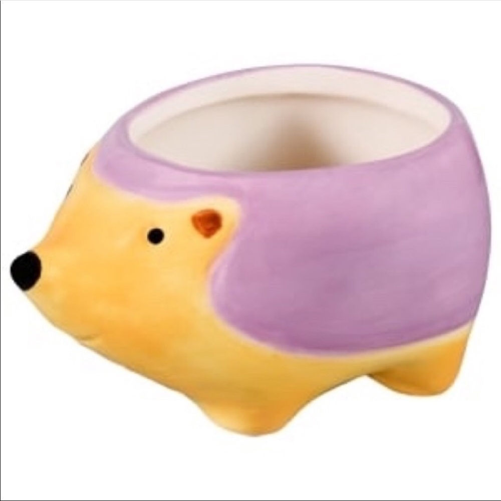 🎯Mini Ceramic Hedgehog Planter